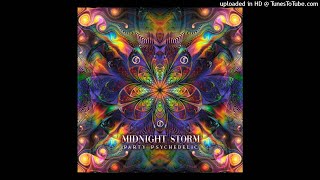 Midnight Storm - Party Psychedelic (Original Mix)