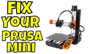 Prusa Mini 3D Printer - Issues, Prints and More