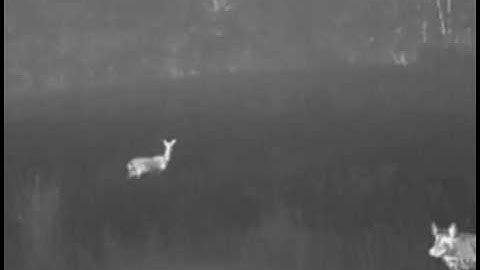 FLIR Vue Pro Pan System with VTX