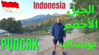 رحلة الجبل الأخضر فى بونشاك ، إندونيسيا || الوجهة الأولى للسياح العرب