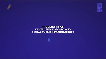 The Benefits of Digital Public Goods and Digital Public Infrastructure