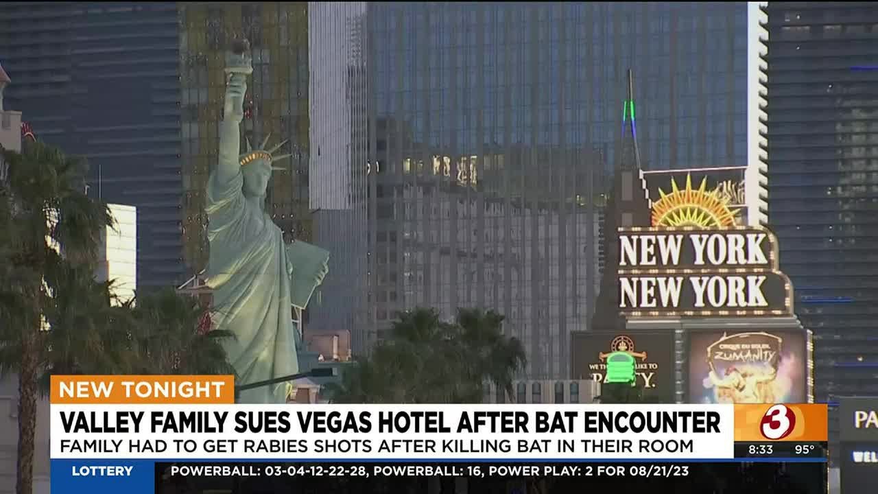 Phoenix family sues after reportedly finding a live bat in Vegas room