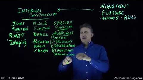 Clip from 1001 Rethinking Exercise  Part 5 Internal Function/Performance (see below for full video)