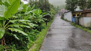 Heavy Rain In A Beautiful Village | Relaxing walk in the rain | Medicine for insomnia