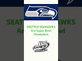 Seahawks Win Super Bowl #shorts #nfl #super bowl #seattleseahawks