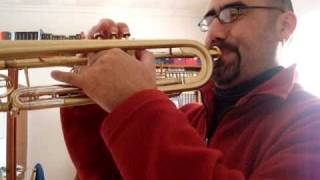 Trompeta Weril Regium 2 Symphonic Testeo 3 Julio 2010.Mpg