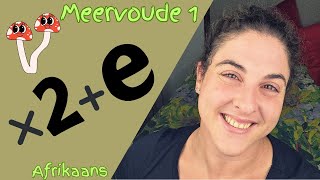 Afrikaans PLURALS made EASY...Video 1