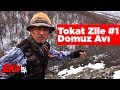 Tokat zile domuz av 1 ekip i 1blm yaban tv wild boar hunting