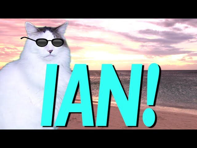 HAPPY BIRTHDAY IAN! - EPIC CAT Happy Birthday Song