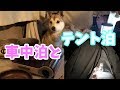 【車中泊とテント泊】違いについて車ご飯を食べながら語ってみる 4K
