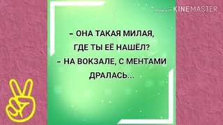 - На вокзале с ментами дралась... ЮМОРНЕМ!