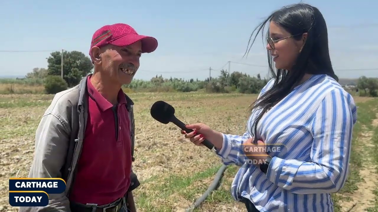 فلاح 🧑‍🌾 عندي فوق ستين سنة وصلت بعت السعي متاعي🐏🐑 نتيجة ضروف خاصة