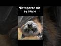 Te mity potrafią zaskoczyć #animals #ciekawostki #mity #shorts #wiedza