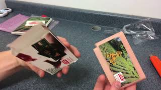 Unboxing! || NES Homebrew || Mr.Lee’s Alishan Tea Collector || ITG-Soft || BOOTLEG screenshot 4