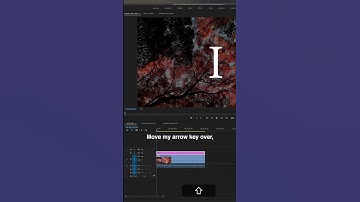 How to WORD by WORD Text Animation Effect in Adobe Premiere Pro CC - Video Editing Tutorial