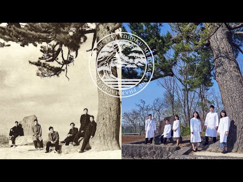 東北医科薬科大学 学校概要 大学 私立 宮城県 無料資料請求可能 キャリタス進学