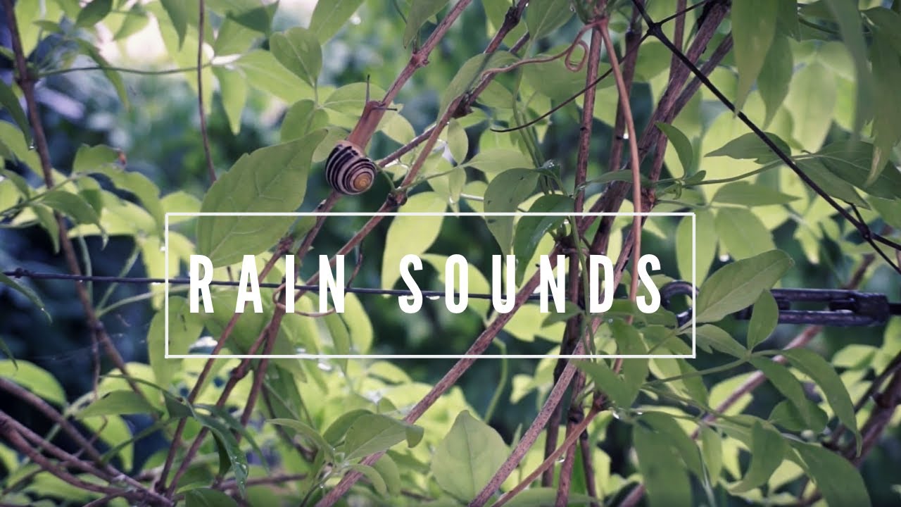 Light Rainfall in Zurich, Switzerland - Relaxing Rain Sounds to Study/Focus/Sleep