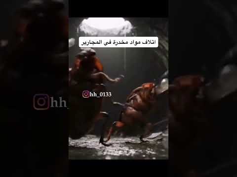 سكران اريد الدنيا تصحى ويايييي