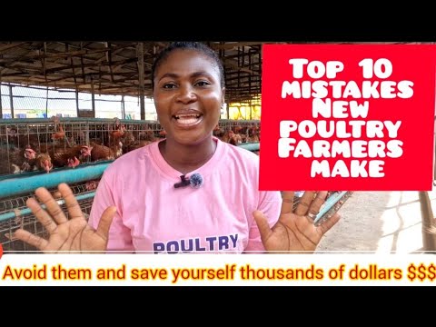 Avoid These Rookie Mistakes in Your Poultry Farm | Top 10 Mistakes New ...