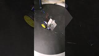 RoboSumo robot spinning