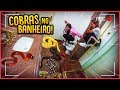 PRENDI MINHAS AMIGAS NO BANHEIRO COM 5 COBRAS!! - TROLLANDO AMIGAS [ REZENDE EVIL ]