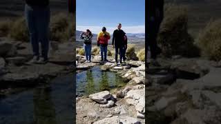 buta ranquil Neuquén #argentina #travel #patagonia #turismo #viajes #viajar #butaranquil #neuquén