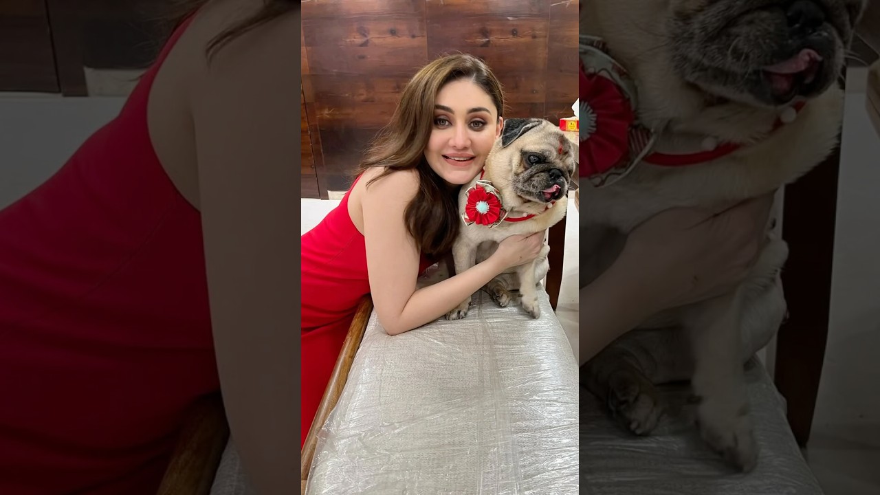 Shefali Jariwala&rsquo;s Love for Simba Will Never Fade #dogmom #shefalijariwala