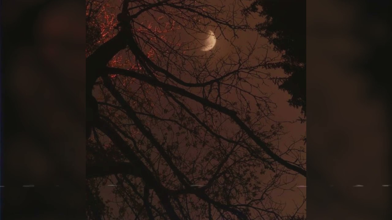 (free for profit) burning photographs + hardrock + shoegaze type beat - 'leaves'