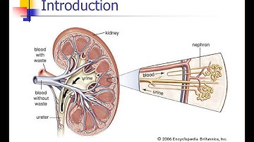 OLD VIDEO - ANES 476 - Lecture 3 - Part 1 - OLD