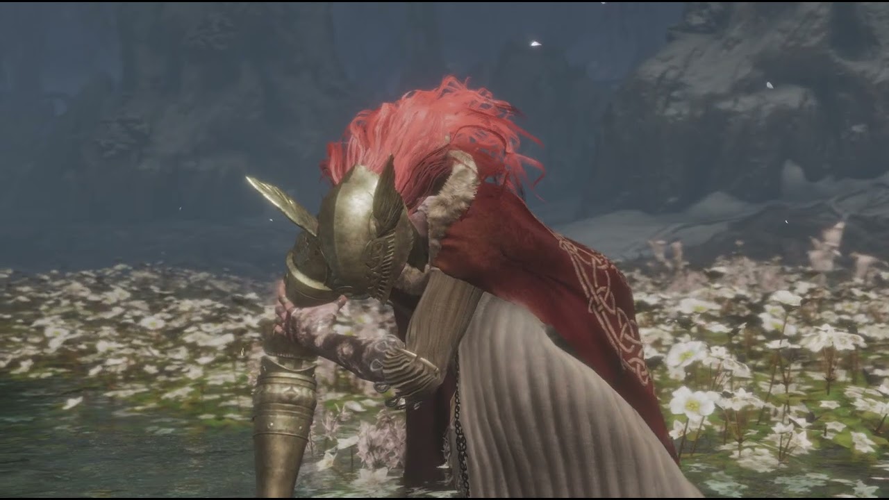 ELDEN RING Malenia co-op