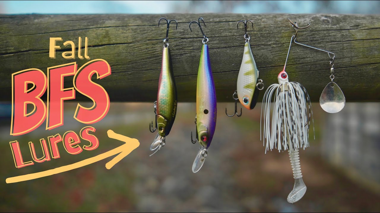 Fall fishing lures for your BFS ‼️megabass X-Nanaha75 + more