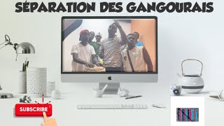 La séparation des gangourais