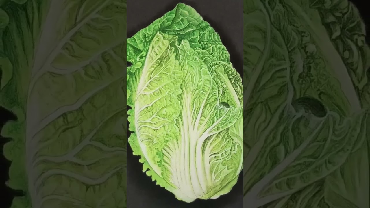 shorts Chinese cabbage 🥬 painting 🎨
