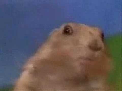 Britney's Dramatic Chipmunk