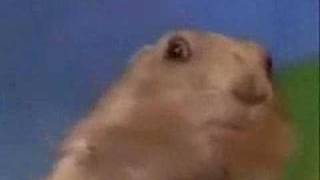 Britney's Dramatic Chipmunk