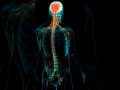 Panikattacken Psyche und körperliche Symptome