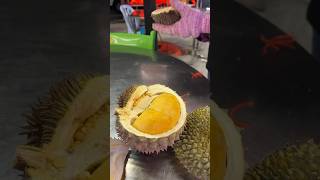 durian duri hitam paling mahal di dunia #durihitam #shorts