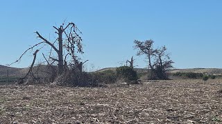 ABEL RAMOS S está en vivo Esta tarde es para caminar por El campo