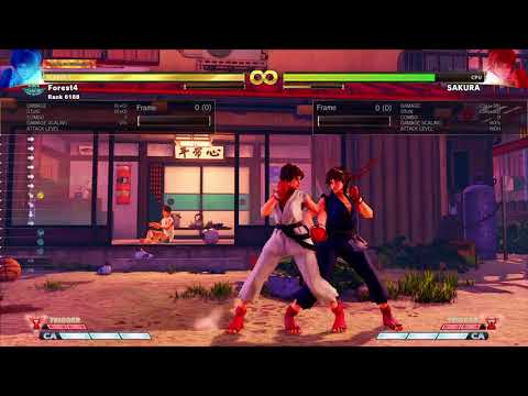 Sakura 2 Crush Counter Staple Combos: b+HP for Punishing and s HK for CC Hunting