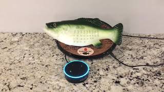 Pairing instructions for your Amazon Alexa enabled big mouth Billy Bass