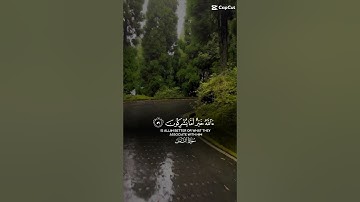 تلاوة من القران الكريم سورة النمل #صنعاء #اكسبلور #القرآن_الكريم #قرآن #ليبيا #المغرب #الجزائر #تونس