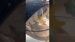 Bellababy Baby Swing for Infants