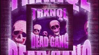 -DEAD GANG- Slowed TRXNQL