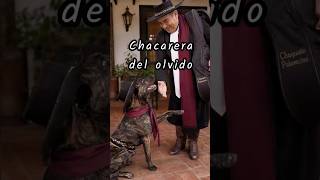 Chacarera del olvido. #FolkloreArgentino #ChacareraOriginal #MusicaDeArgentina #CulturaPopular