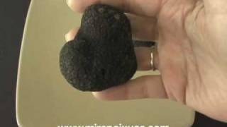 What is the cost of black winter truffles from Perigord, Fr How Much Is Black Truffle Worth