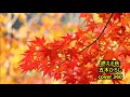 燃える秋  五木ひろし cover 360_Over