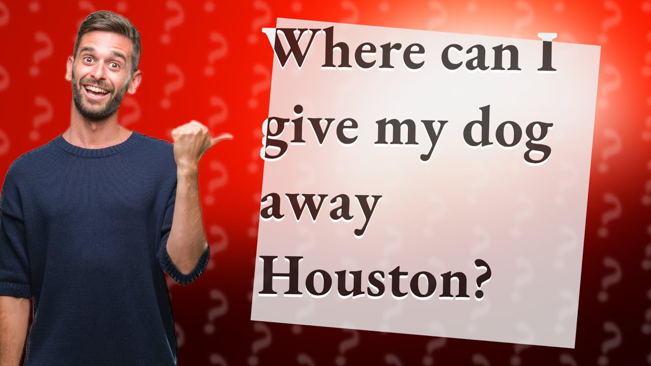 Where Can I Give My Dog Away Houston YouTube Where Can I Give My Dog Away Houston YouTube