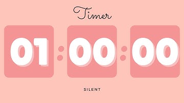 🌺 1 Hour Silent Timer with Cute Ending Alarm | Pastel Red Timer