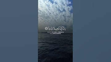 وَاسْتَغْفِرُوا رَبَّكُمْ ثُمَّ تُوبُوا إِلَيْهِ ۚ إِنَّ رَبِّي رَحِيمٌ وَدُودٌ[سورة هود: 90] #تلاوة