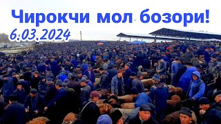 Чирокчи мол бозори нархлари 6.03.2024 й